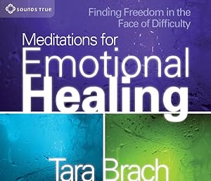 Immagine del venditore per Meditations for Emotional Healing : Finding Freedom in the Face of Difficulty venduto da GreatBookPrices