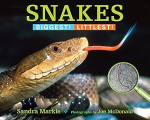 Imagen del vendedor de Snakes : Biggest! Littlest! a la venta por GreatBookPrices