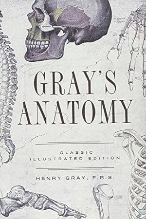 Imagen del vendedor de Gray's Anatomy: Classic Illustrated Edition (Fall River Classics) a la venta por WeBuyBooks