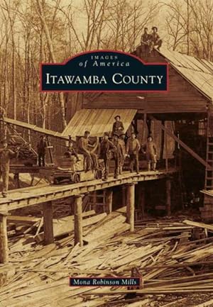 Seller image for Itawamba County for sale by GreatBookPrices