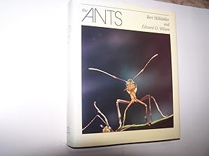 Imagen del vendedor de The Ants a la venta por High Enterprises