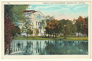 Scene at old field museum, Jackson Park, Chicago.