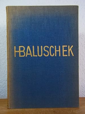 Bild des Verkufers fr Hans Baluschek : Eine Monographie zum Verkauf von Antiquariat Weber