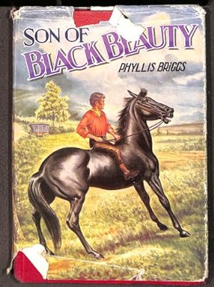 Seller image for SON OF BLACK BEAUTY for sale by WeBuyBooks