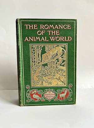 The Romance Of The Animal World