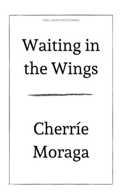 Imagen del vendedor de Waiting in the Wings: Portrait of a Queer Motherhood (Hardback or Cased Book) a la venta por BargainBookStores