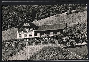 Ansichtskarte Weiningen, Restaurant Winzerhaus