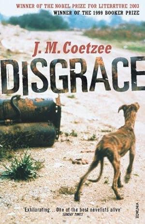 Seller image for Disgrace: A BBC Radio 4 Good Read for sale by WeBuyBooks