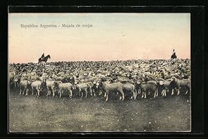 Postcard Argentina, Majada de ovejas, Hirten mit Schafherde