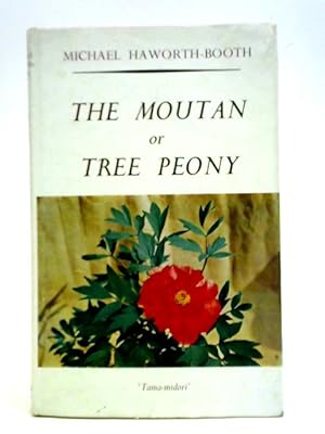 The Moutan or Tree Peony