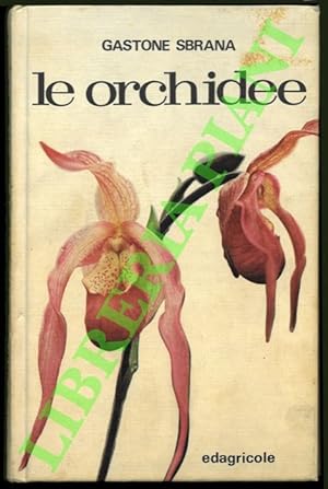 Le orchidee.