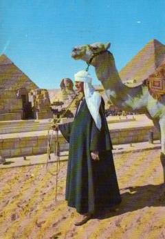 Immagine del venditore per POSTAL PV10489: The Sphinx and the Pyramids of Cheops, Giza venduto da EL BOLETIN