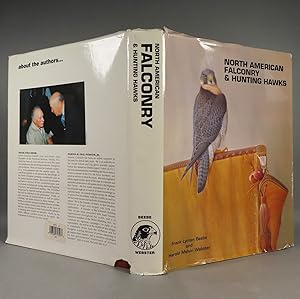 North American Falconry and Hunting Hawks