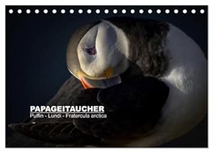 Immagine del venditore per Papageitaucher: Puffin - Lundi - Fratercula arctica (Tischkalender 2025 DIN A5 quer), CALVENDO Monatskalender : Papageitaucher: Fotogene Clowns der Lfte venduto da AHA-BUCH GmbH