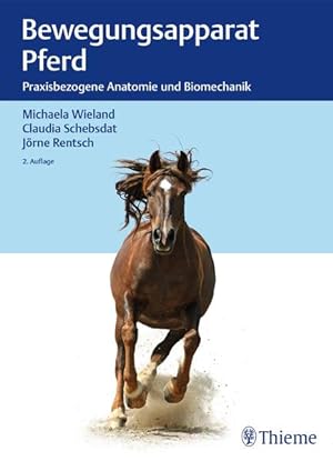 Immagine del venditore per Bewegungsapparat Pferd: Praxisbezogene Anatomie und Biomechanik venduto da Studibuch