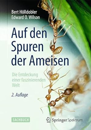 Bild des Verkufers fr Auf den Spuren der Ameisen: Die Entdeckung einer faszinierenden Welt zum Verkauf von Studibuch