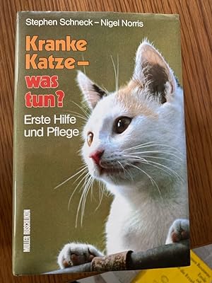 Imagen del vendedor de Kranke Katze - was tun? Erste Hilfe und Pflege a la venta por Bcherbazaar