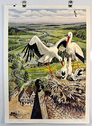 Bild des Verkufers fr Schulwandbild Nr. 87 Storch - Strche von Robert Hainard #nirvana zum Verkauf von sammelbecken, br