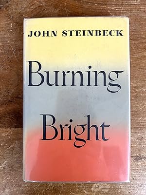 Seller image for Burning Bright for sale by Hudson Valley Books for Humanity