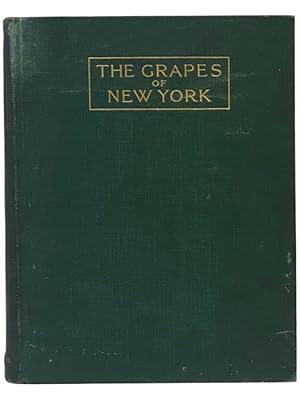 Immagine del venditore per The Grapes of New York (Report of the New York Agricultural Experiment Station for the Year 1907, Volume II) (State of New York - Department of Agriculture Fifteen Annual Report, Vol. 3, Part II) venduto da Yesterday's Muse, ABAA, ILAB, IOBA