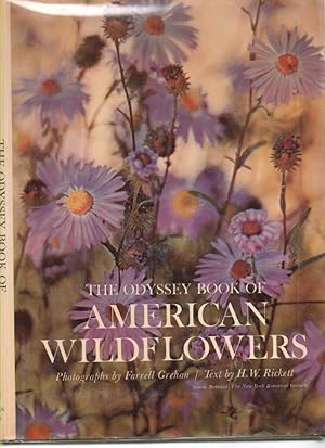 Seller image for The Odyssey Book of American Wildflowers for sale by Mossback Books