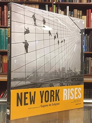 Seller image for New York Rises for sale by Moe's Books