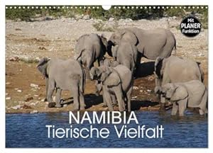 Seller image for Namibia - Tierische Vielfalt (Planer) (Wandkalender 2025 DIN A3 quer), CALVENDO Monatskalender : Planer mit der Vielfalt der Tierwelt Namibias von den ganz kleinen bis zu den ganz groen Tieren. for sale by AHA-BUCH GmbH