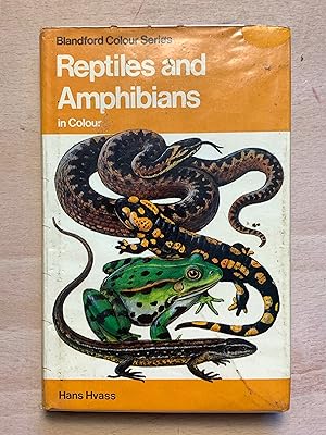 Reptiles and Amphibians In Colour