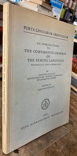 An Introduction to the Comparative Grammar of the Semitic Languages. Phonology and Morphology.