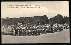 Ansichtskarte Schönbrunn, Huldigung der Jugendsektion der K.F.O.N.Ö. vor ihrer Majestät 17.06.1917