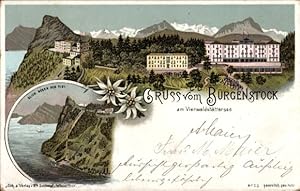 Litho Bürgenstock Kanton Nidwalden, Blick gegen den Rigi, Hotels