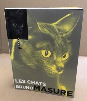 Les chats vus par Bruno Masure