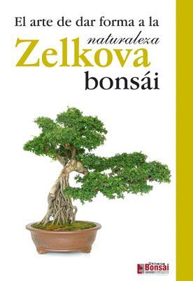 ZELKOVA BONSAI