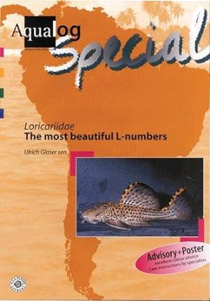Bild des Verkufers fr Aqualog Special - Loricaridae "The Most Beautiful L-numbers" zum Verkauf von WeBuyBooks
