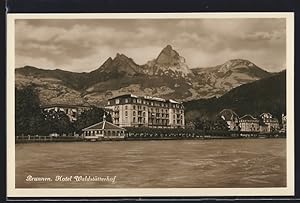 Ansichtskarte Brunnen, Hotel Waldstätterhof vor Bergpanorama
