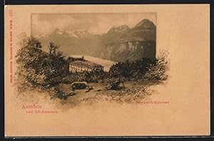 Ansichtskarte Axenfels, Hotel mit Blick auf Uri-Rotstock und Vierwaldstättersee