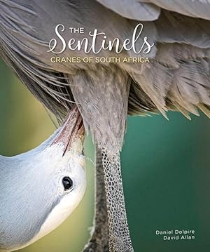 Bild des Verkufers fr The Sentinels: Cranes of South Africa zum Verkauf von moluna