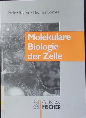 Imagen del vendedor de Molekulare Biologie der Zelle. a la venta por Antiquariat Bookfarm