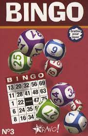 Seller image for Bingo N3 for sale by Dmons et Merveilles