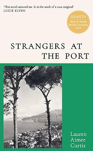 Imagen del vendedor de Strangers at the Port: From one of Grantas Best of Young British Novelists a la venta por WeBuyBooks