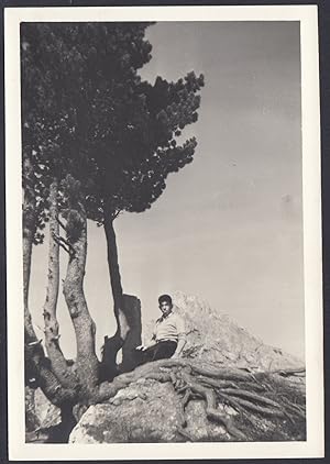 Uomo seduto sotto albero tra le Dolomiti - 1950 Fotografia vintage