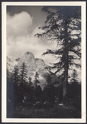 Dolomiti - Dettaglio catena montuosa da identificare - 1950 Foto vintage