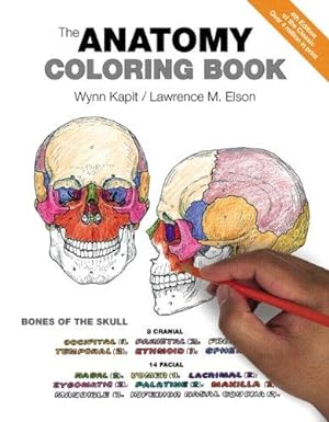 Immagine del venditore per Anatomy Coloring Book, The venduto da WeBuyBooks