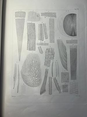 Rare Science book [1878] | Zur anatomie der Crystallinse von J. Henle, Göttingen Dieterich'sche V...