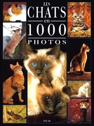 Chats 1000 photos - Coppe