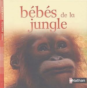 B b s de la jungle - Tout Photos Animaux