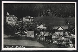 Ansichtskarte Brückenberg i. Rsgb., Teilansicht mit Hotel Waldschloss