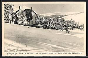 Ansichtskarte Ober-Krummhübel, Dreyhaupts Hotel mit Blick nach den Teichrändern