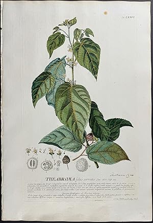 Image du vendeur pour Cocoa Tree mis en vente par Trillium Antique Prints & Rare Books