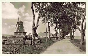 Postkarte Carte Postale 73976896 Skane Sweden Muehle Allee